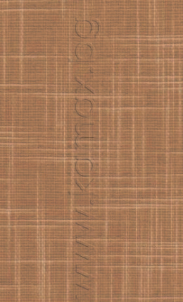 Цвят Shantung 26